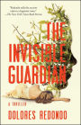 The Invisible Guardian (Baztán Trilogy #1)