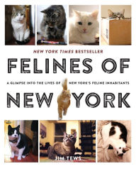 Title: Felines of New York: A Glimpse Into the Lives of New York's Feline Inhabitants, Author: Jim Tews