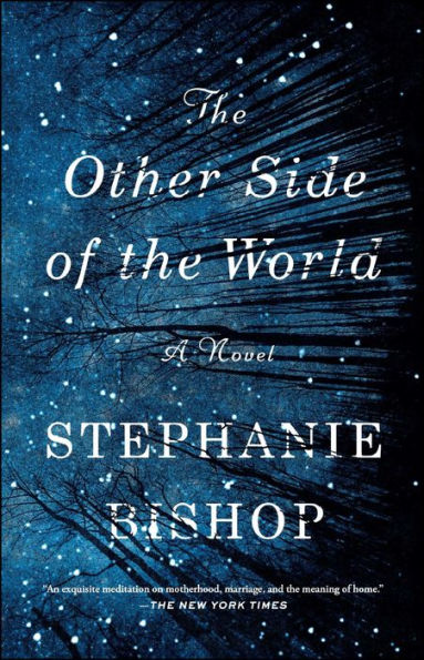 The Other Side of the World: A Novel