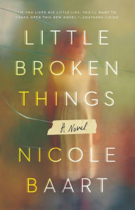 Title: Little Broken Things: A Novel, Author: Nicole Baart
