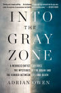 Into the Gray Zone: A Neuroscientist Explores the Mysteries of the Brain and the Border Between Life and Death