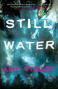 Free bookworm download full version Still Water: A Novel FB2 CHM (English literature) 9781982137762 by Amy Stuart