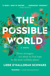 Ebook download for free The Possible World: A Novel by Liese O'Halloran Schwarz 9781501166167 MOBI