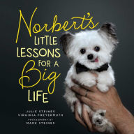 Title: Norbert's Little Lessons for a Big Life, Author: Julie Steines