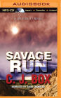 Savage Run (Joe Pickett Series #2)