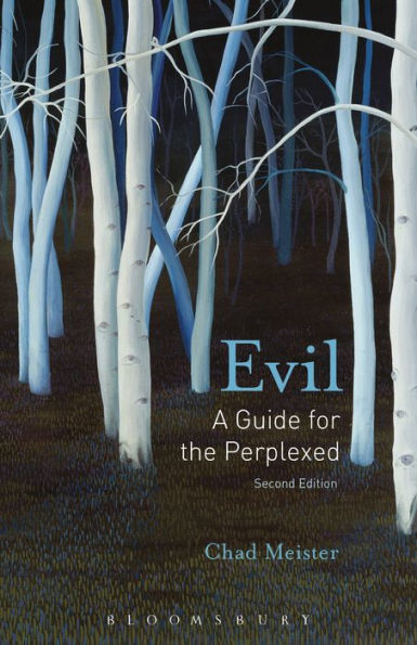 Evil: A Guide for the Perplexed / Edition 2