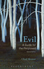 Evil: A Guide for the Perplexed