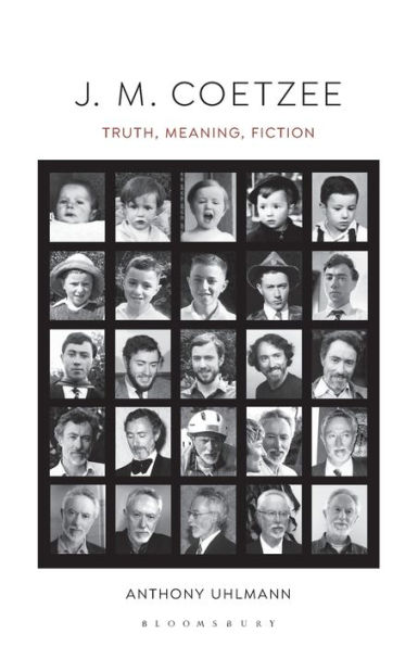 J. M. Coetzee: Truth, Meaning, Fiction