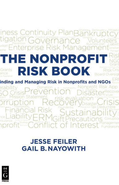 THE NONPROFIT RISK BOOK: Finding and Managing Risk in Nonprofits and NGOs / Edition 1