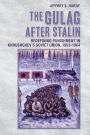 The Gulag after Stalin: Redefining Punishment in Khrushchev's Soviet Union, 1953-1964