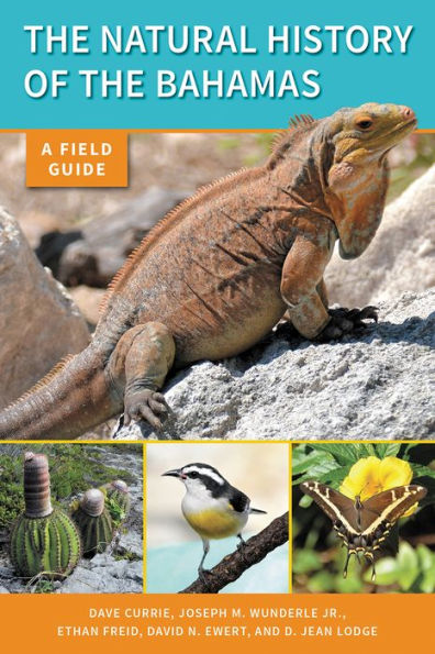 The Natural History of Bahamas: A Field Guide