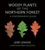 Woody Plants of the Northern Forest: A Photographic Guide