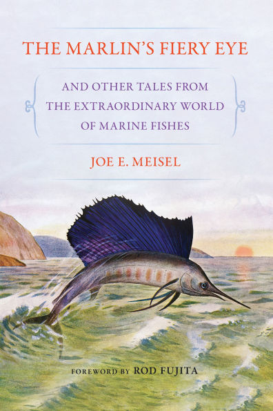 the Marlin's Fiery Eye and Other Tales from Extraordinary World of Marine Fishes