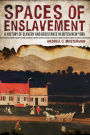 Spaces of Enslavement: A History of Slavery and Resistance in Dutch New York