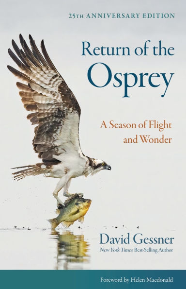 Return of the Osprey: A Season Flight and Wonder