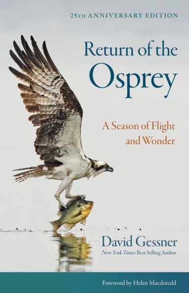 Return of the Osprey: A Season of Flight and Wonder