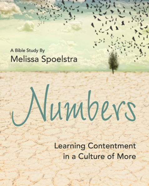 Numbers - Women's Bible Study Participant Workbook: Learning Contentment a Culture of More