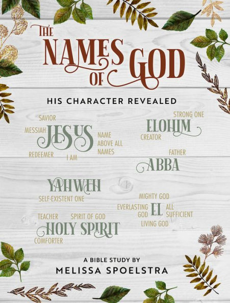 The Names of God - Women's Bible Study Participant Workbook: His Character Revealed