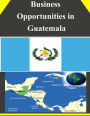 Business Opportunities in Guatemala