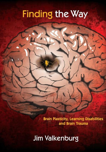 Finding the Way: Brain Plasticity, Learning Disabilities and Brain Trauma