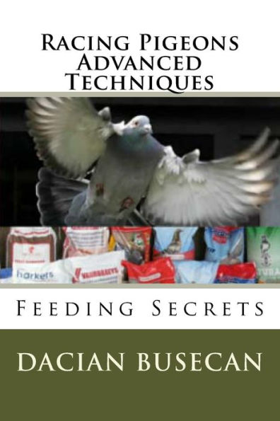 Racing Pigeons Advanced Techniques: Feeding Secrets