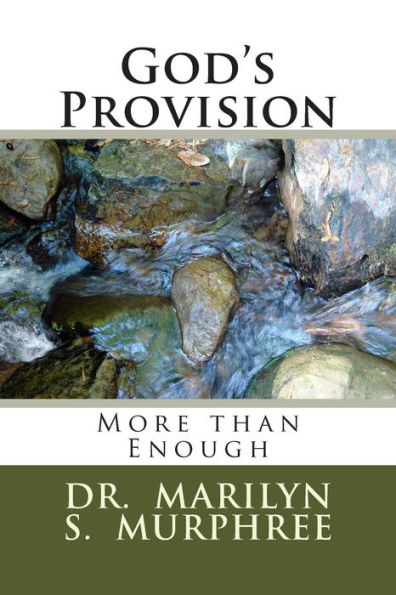 God's Provision: More than Enough