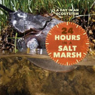 Title: 24 Hours in a Salt Marsh, Author: Soul Clap