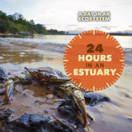 Title: 24 Hours in an Estuary, Author: Laura Sullivan