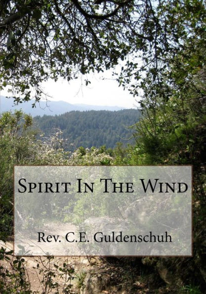 Spirit In The Wind