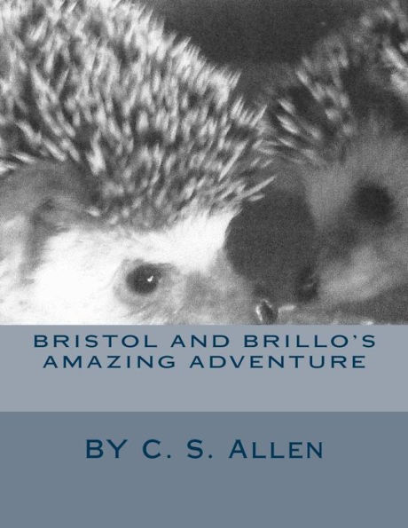 Bristol and Brillo's Amazing Adventure