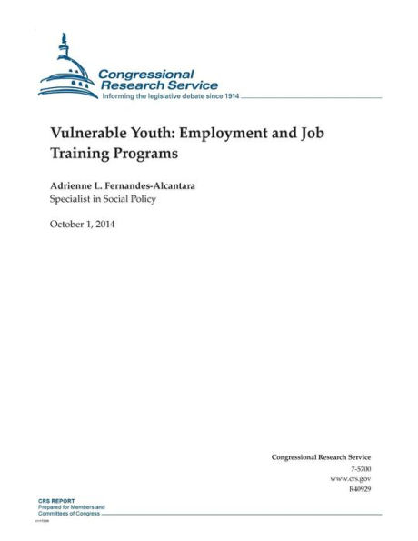 Vulnerable Youth: Employment and Job Training Programs