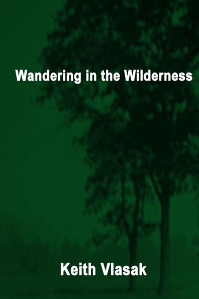 Wandering the Wilderness: (Kinky, Quirky, and Desperation Stories)