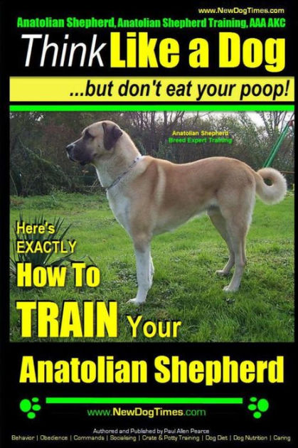 Anatolian Shepherd, Anatolian Shepherd Training AAA AKC: Think Like a ...