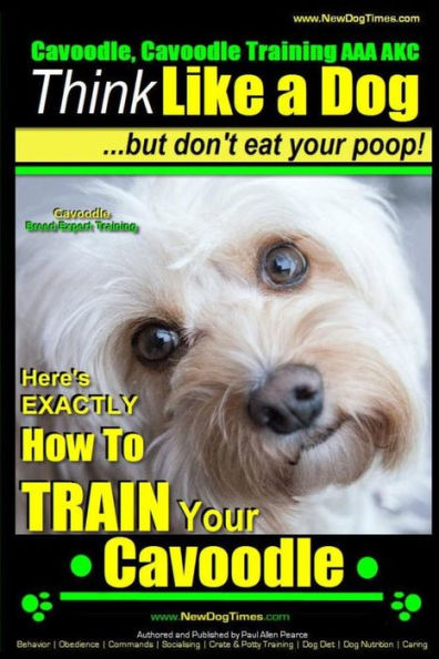 Cavoodle, Cavoodle Training AAA AKC: Think Like a Dog But Don't Eat Your Poop! Cavoodle Expert Dog Training: Here's EXACTLY How To TRAIN Your Cavoodle