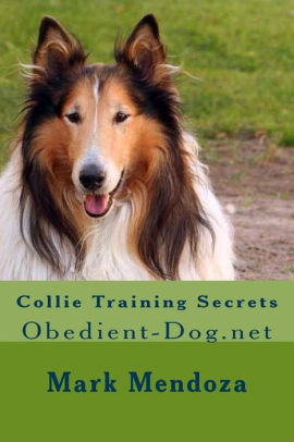 Sara Carson & The Super Collies Shares Some of their Training Secrets