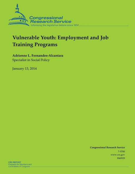 Vulnerable Youth: Employment and Job Training Programs