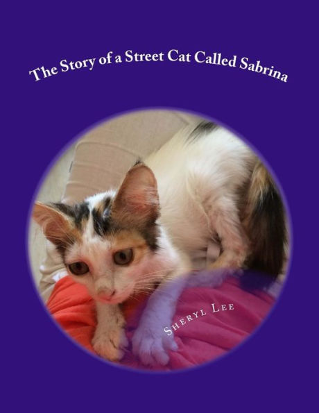 The Story of a Street Cat Called Sabrina