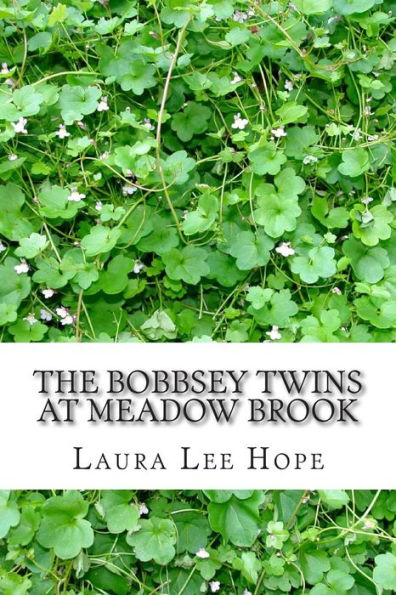 The Bobbsey Twins at Meadow Brook: (Laura Lee Hope Children's Classics Collection)