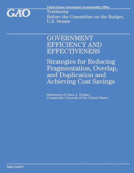 Government Efficiency and Effectiveness: Strategies for Reducing Fragmentation, Overlap, and Duplication and Achieving Cost Savings