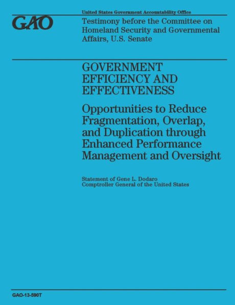 Government Efficiency and Effectiveness: Opportunities to Reduce Fragmentation, Overlap, and Duplication through Enhanced Performance Management and Oversight