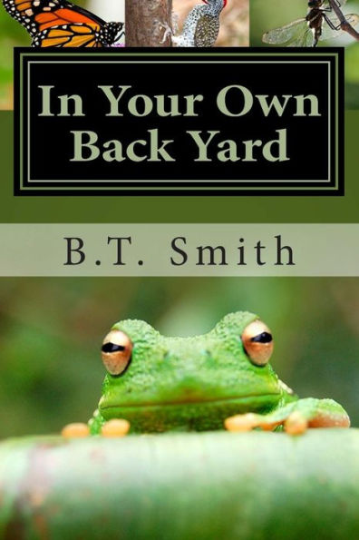 In Your Own Back Yard: Birds, Bees and Flys - Oh My!