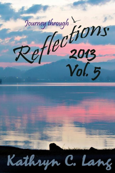 Journey through Reflections 2013