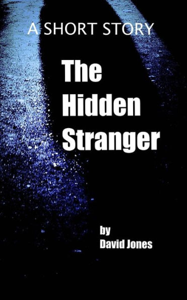 The Hidden Stranger: A Short Story