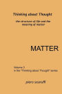 Thinking about Thought 3 - Matter