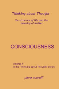 Title: Thinking about Thought 4 - Consciousness, Author: Piero Scaruffi