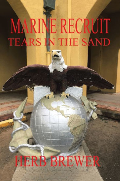 Marine Recruit: Tears the Sand