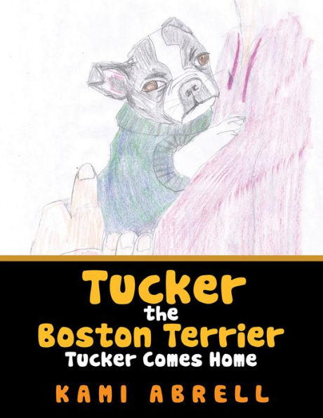 Tucker the Boston Terrier: Tucker Comes Home