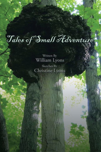 Tales of Small Adventure