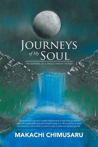Journeys of My Soul: The Survival a Single Parent Father