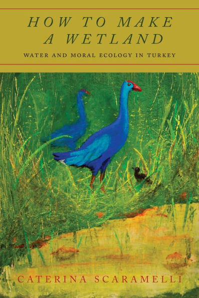 How to Make a Wetland: Water and Moral Ecology Turkey